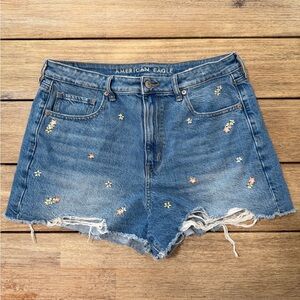 American Eagle Outfitters Floral Embroidered Jean Shorts